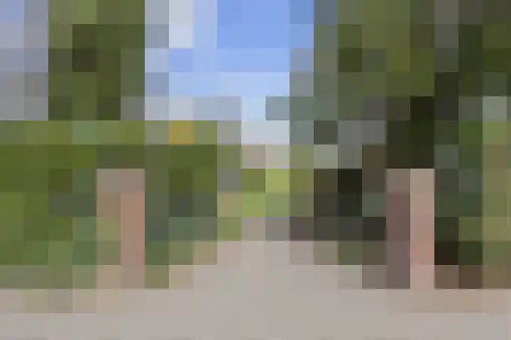 Zijlweg 20 Overveen thumbnail 20