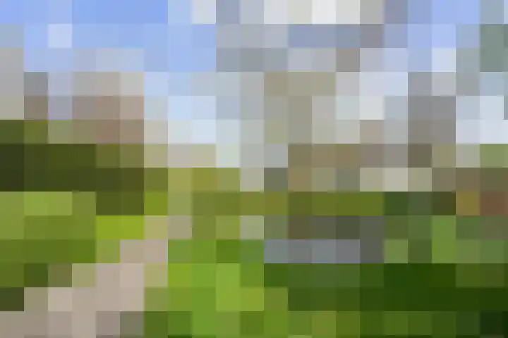 Zijlweg 20 Overveen thumbnail 21