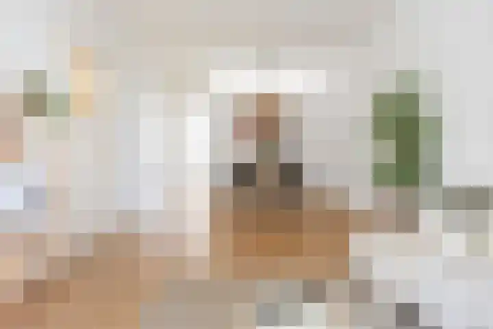Zijlweg 20 Overveen thumbnail 8
