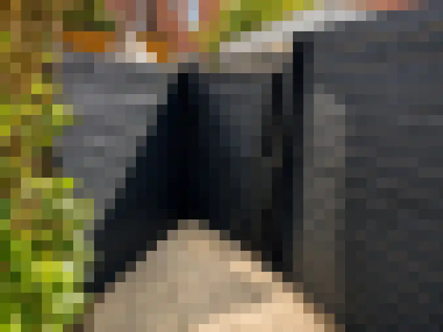 Zijlweg 24 Haarlem thumbnail 30