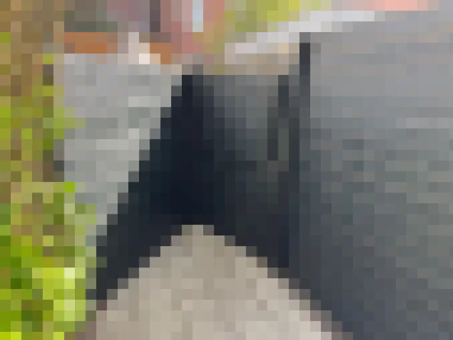 Zijlweg 24 Haarlem thumbnail 30