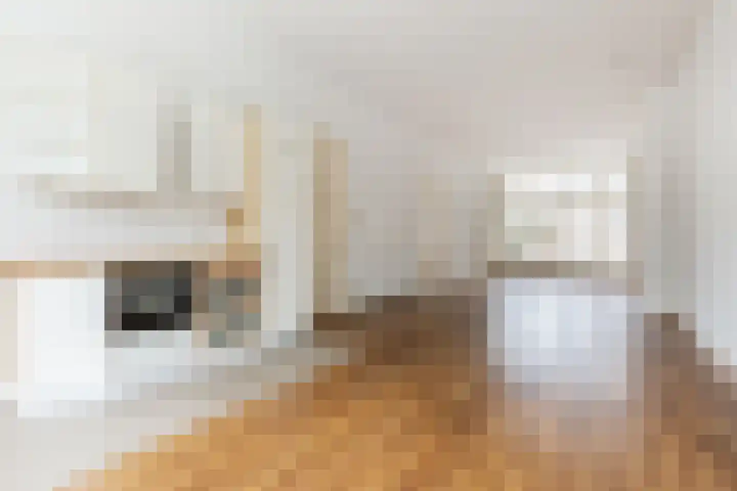 Zijlweg 24 Haarlem thumbnail 4