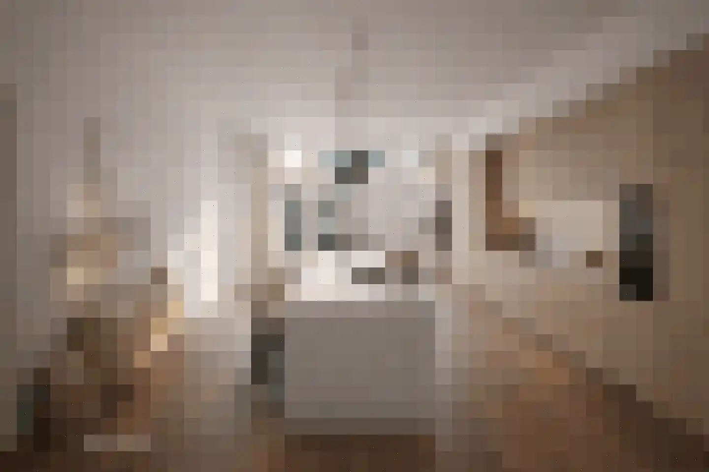 Zijlweg 24 Haarlem thumbnail 7