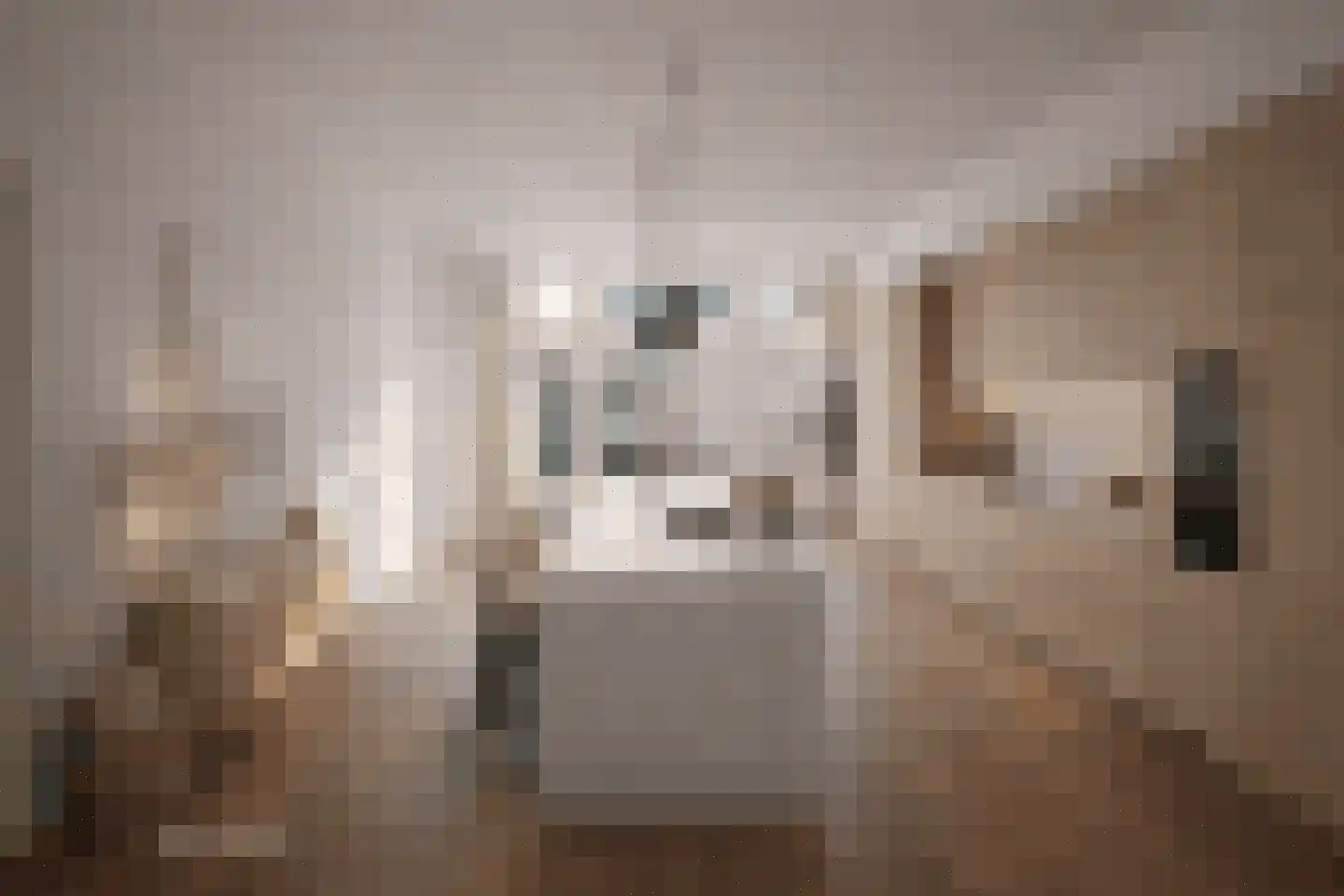 Zijlweg 24 Haarlem thumbnail 7