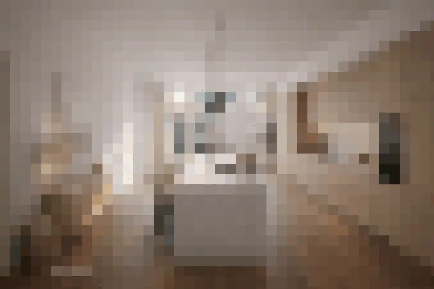 Zijlweg 24 Haarlem thumbnail 7