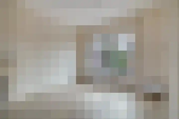 Zijlweg 25 Welsum thumbnail 11