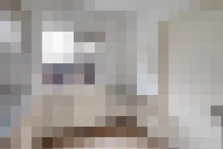 Zijlweg 25 Welsum thumbnail 15