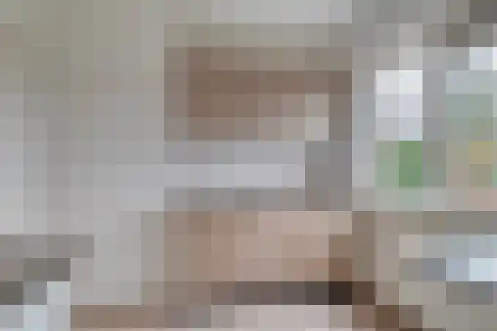 Zijlweg 25 Welsum thumbnail 17