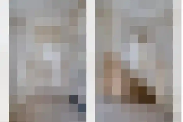 Zijlweg 25 Welsum thumbnail 21