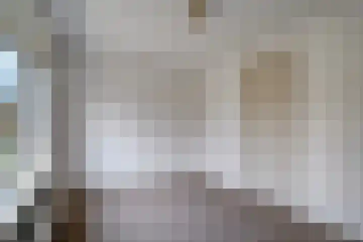 Zijlweg 25 Welsum thumbnail 22