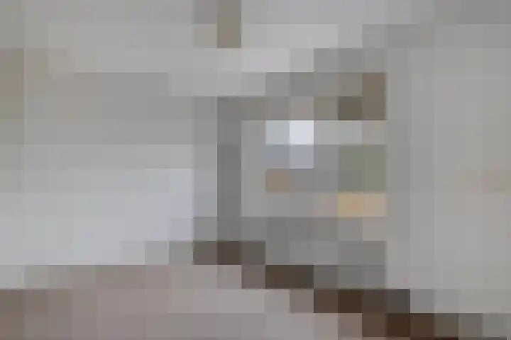 Zijlweg 25 Welsum thumbnail 24