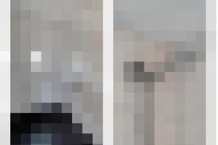 Zijlweg 25 Welsum thumbnail 29