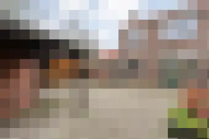 Zijlweg 25 Welsum thumbnail 30