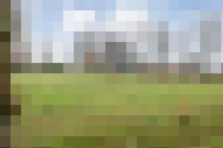 Zijlweg 25 Welsum thumbnail 35