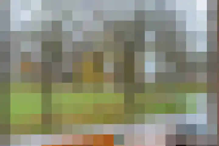 Zijlweg 25 Welsum thumbnail 36