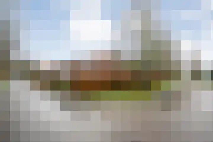 Zijlweg 25 Welsum thumbnail 4