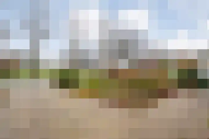 Zijlweg 25 Welsum thumbnail 5