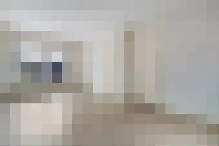 Zijlweg 25 Welsum thumbnail 9