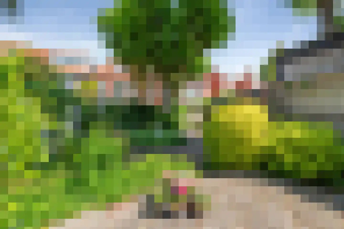 Zijlweg 27 Haarlem thumbnail 13