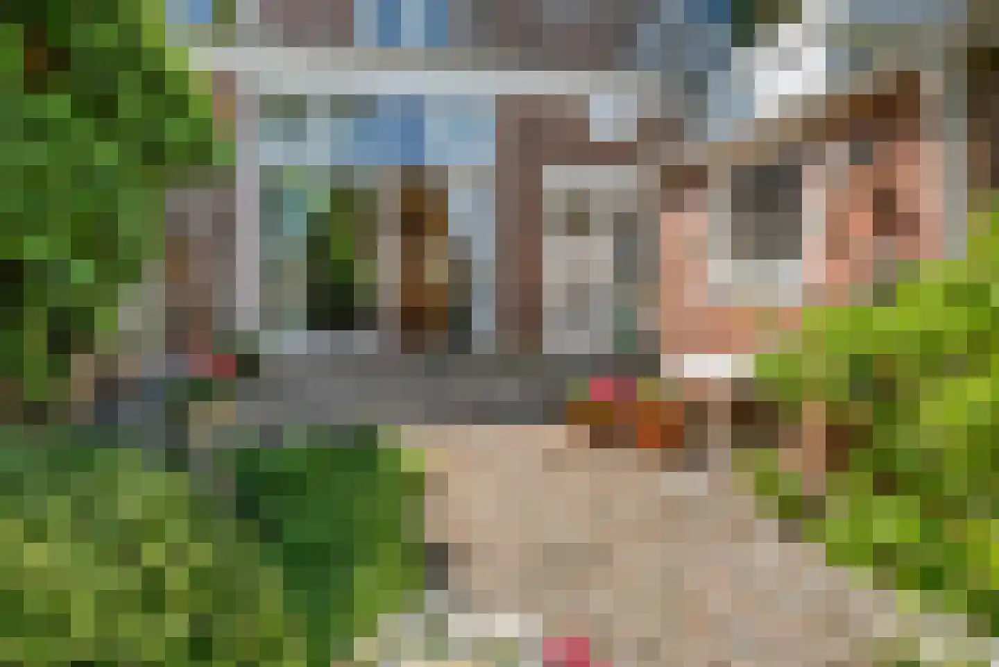 Zijlweg 27 Haarlem thumbnail 16