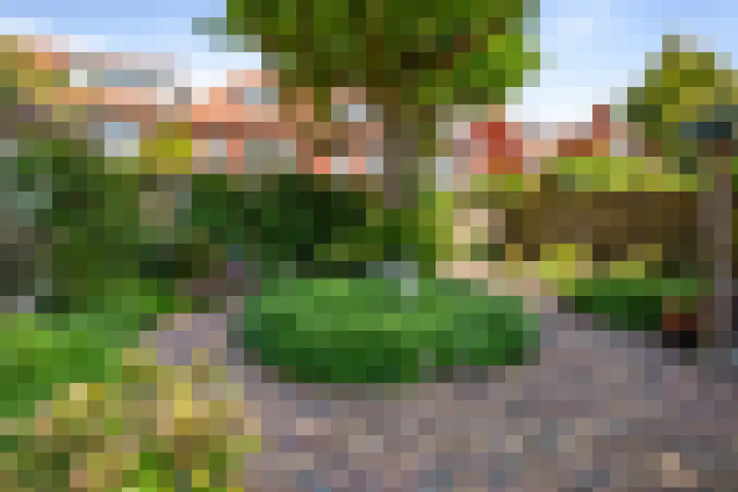 Zijlweg 27 Haarlem thumbnail 22