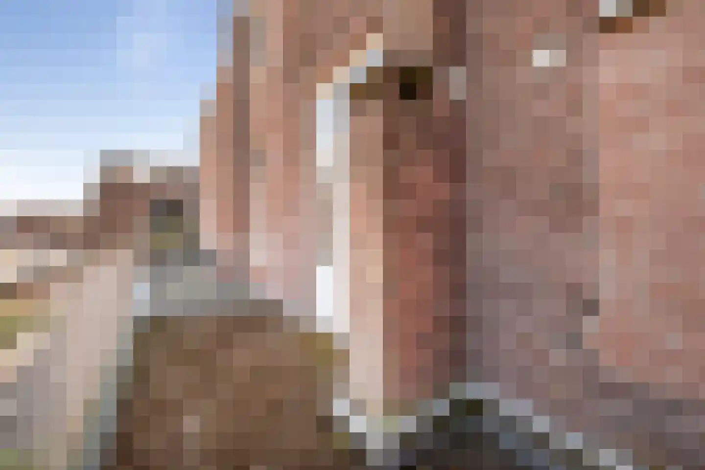 Zijlweg 27 Haarlem thumbnail 40