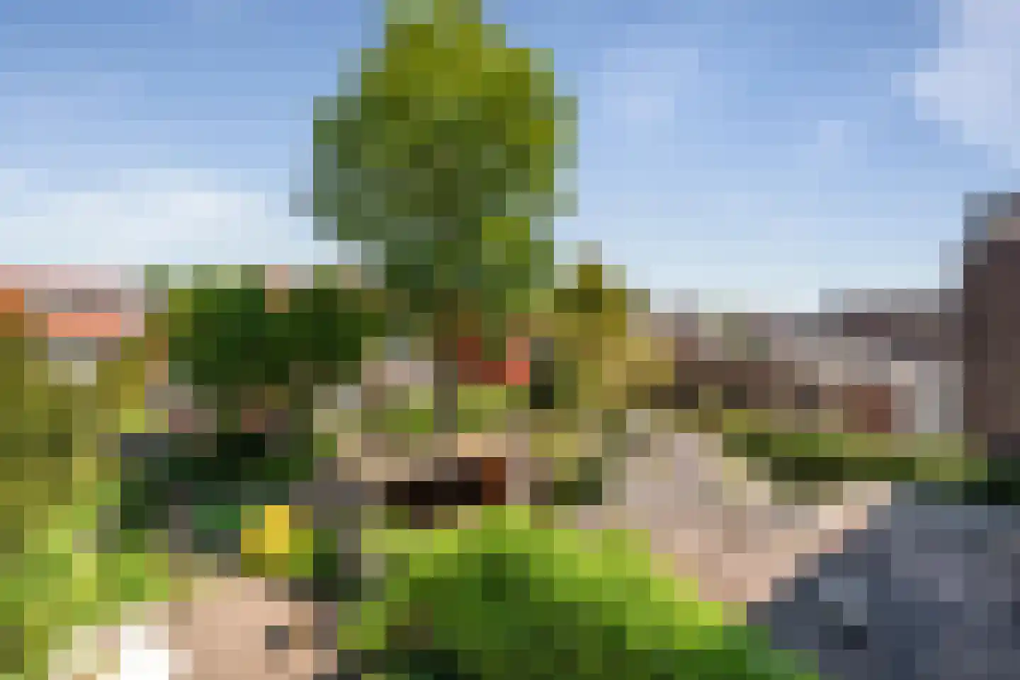 Zijlweg 27 Haarlem thumbnail 41