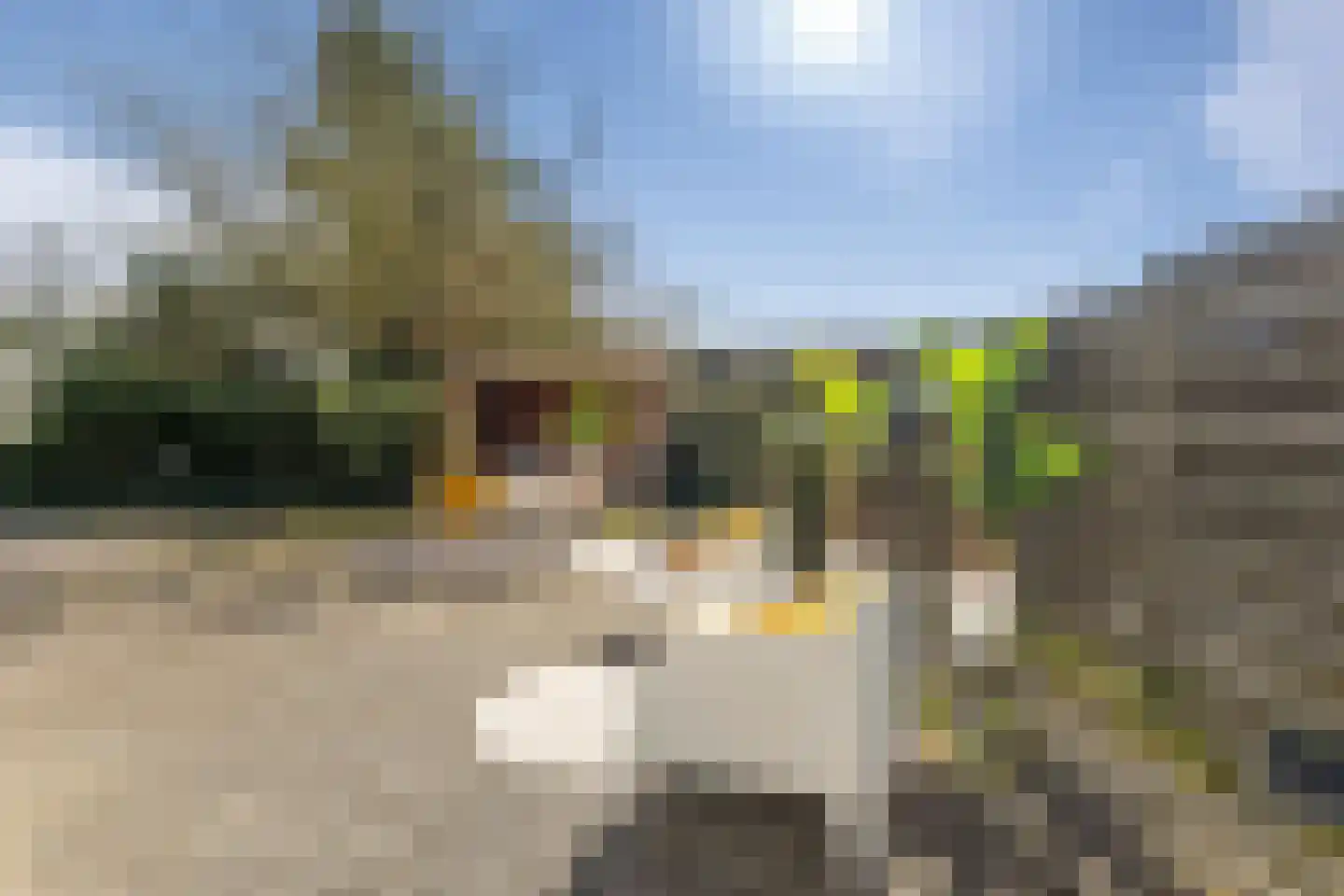 Zijlweg 314 Haarlem thumbnail 35
