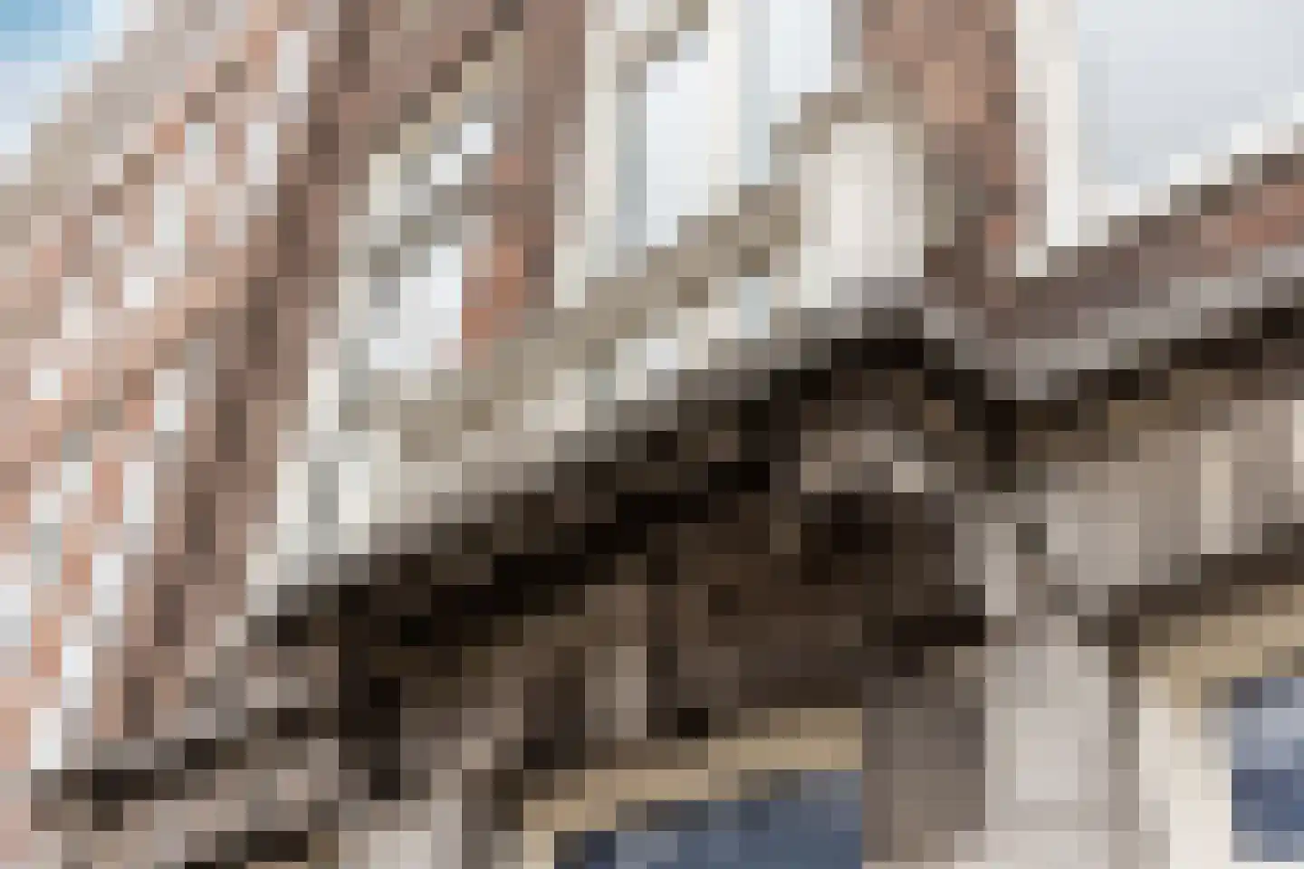 Zijlweg 47 Haarlem thumbnail 5