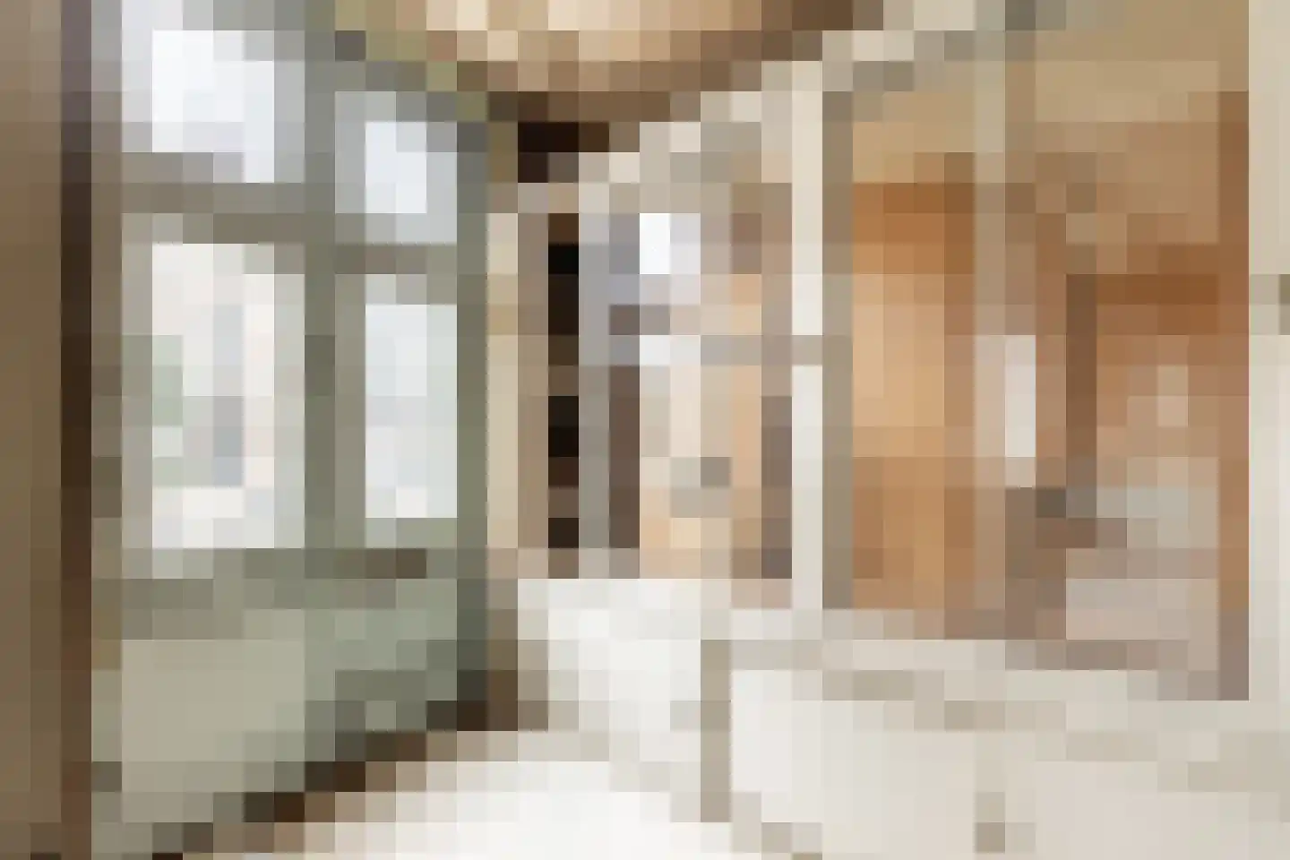 Zijlweg 47 Haarlem thumbnail 6