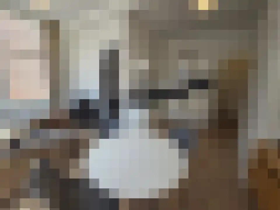 Zijlweg 6 A Haarlem thumbnail 5