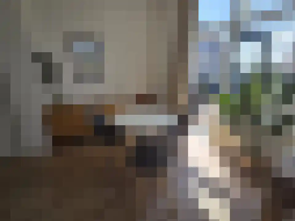 Zijlweg 6 A Haarlem thumbnail 6