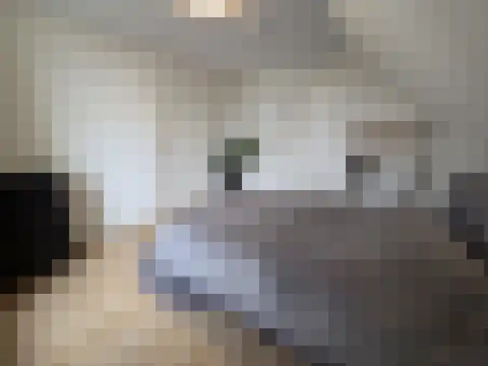Zijlweg 6 F Haarlem thumbnail 6