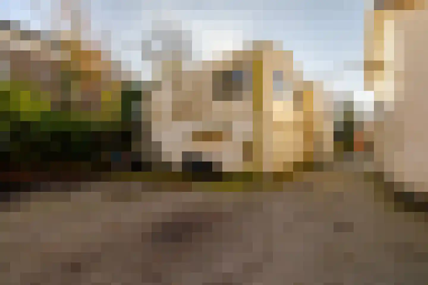 Zijlweg 9 a Overveen thumbnail 11
