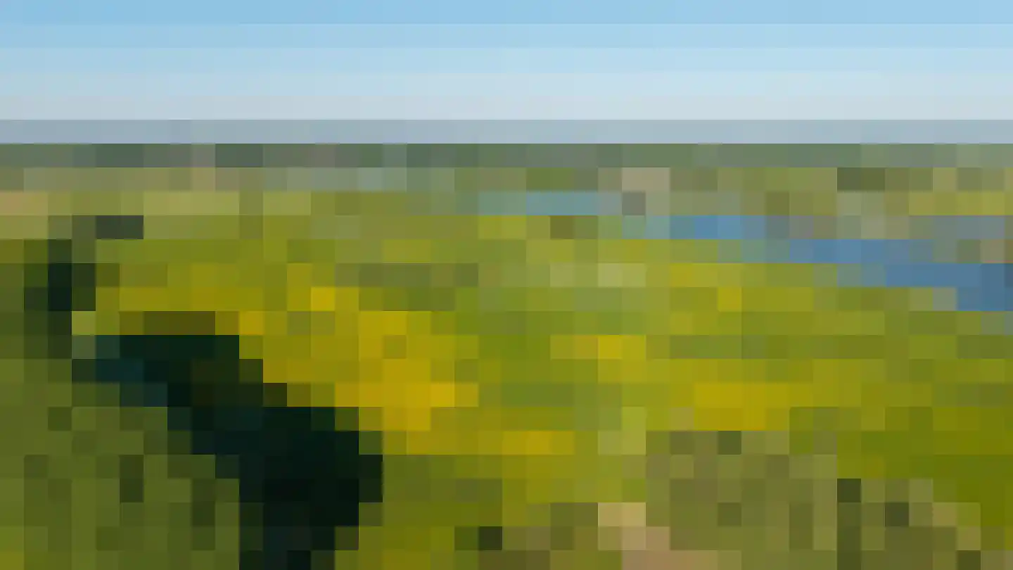 Zijmarseweg 11 Vorchten thumbnail 35