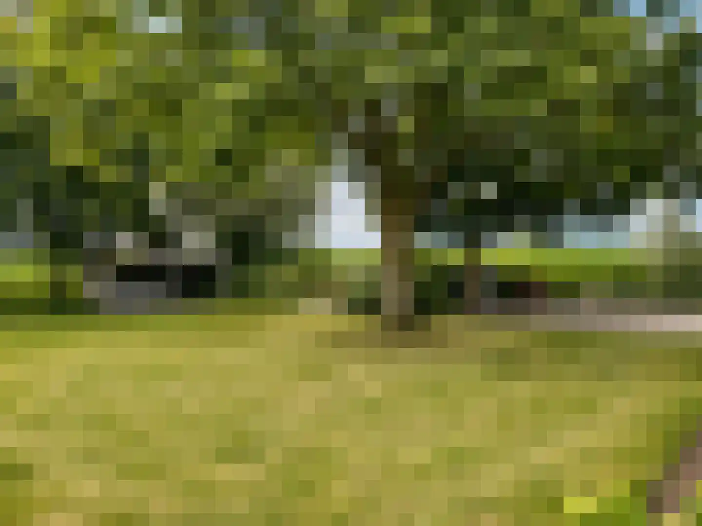 Zijmarseweg 11 Vorchten thumbnail 36