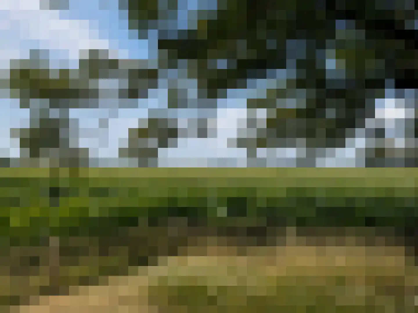Zijmarseweg 11 Vorchten thumbnail 38