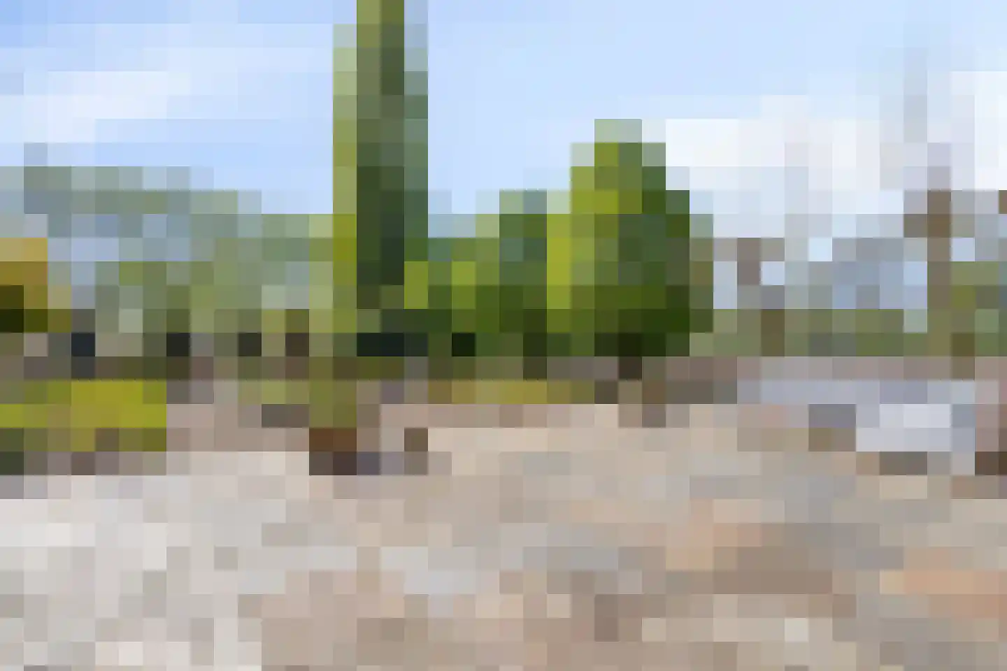 Zijmarseweg 11 Vorchten thumbnail 40