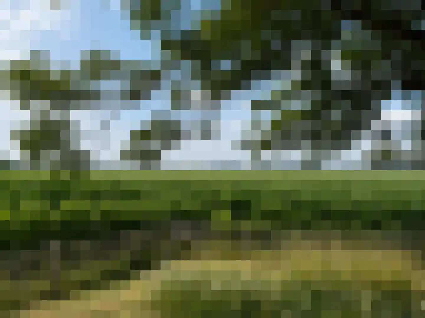 Zijmarseweg 11 Vorchten thumbnail 42