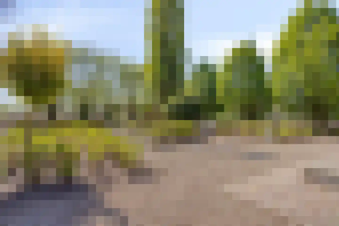 Zijmarseweg 11 Vorchten thumbnail 42