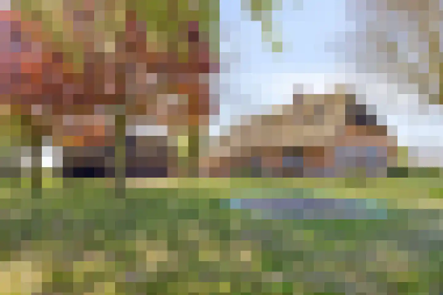 Zijmarseweg 11 Vorchten thumbnail 45