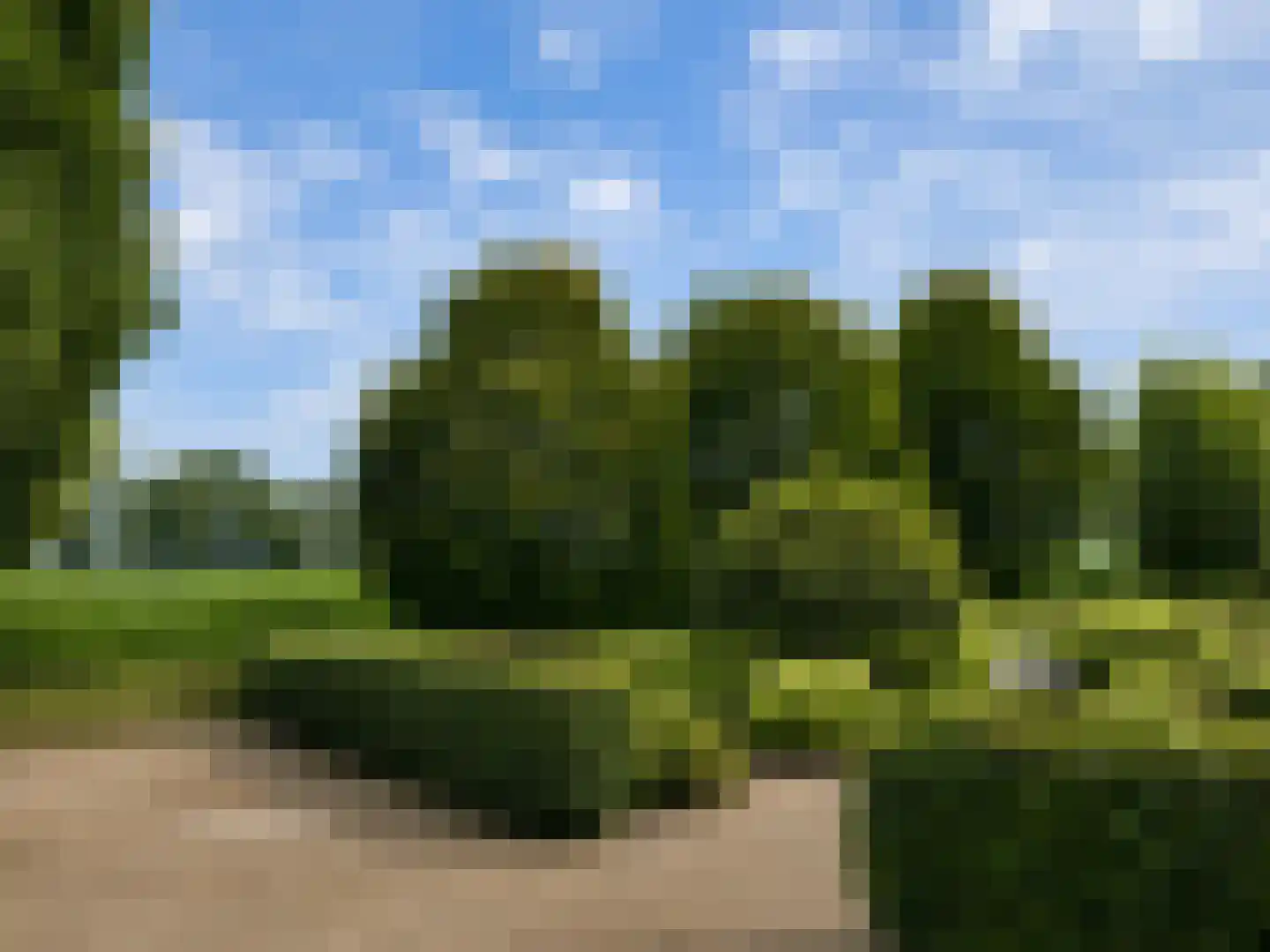 Zijmarseweg 11 Vorchten thumbnail 5