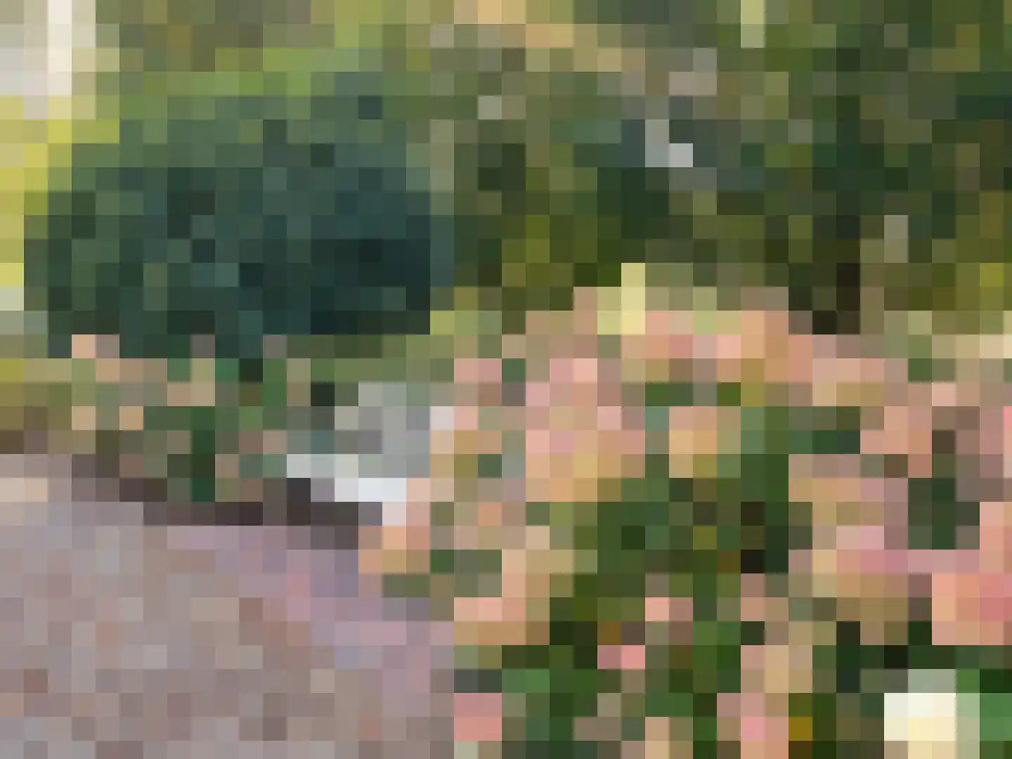 Zijmarseweg 11 Vorchten thumbnail 6