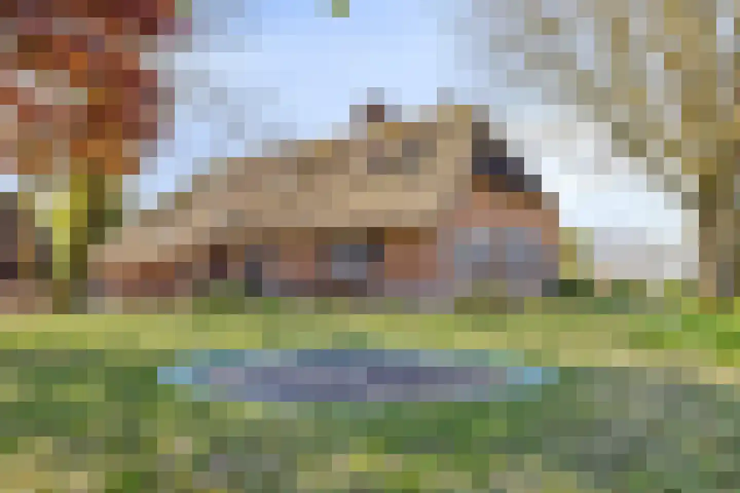 Zijmarseweg 11 Vorchten thumbnail 6