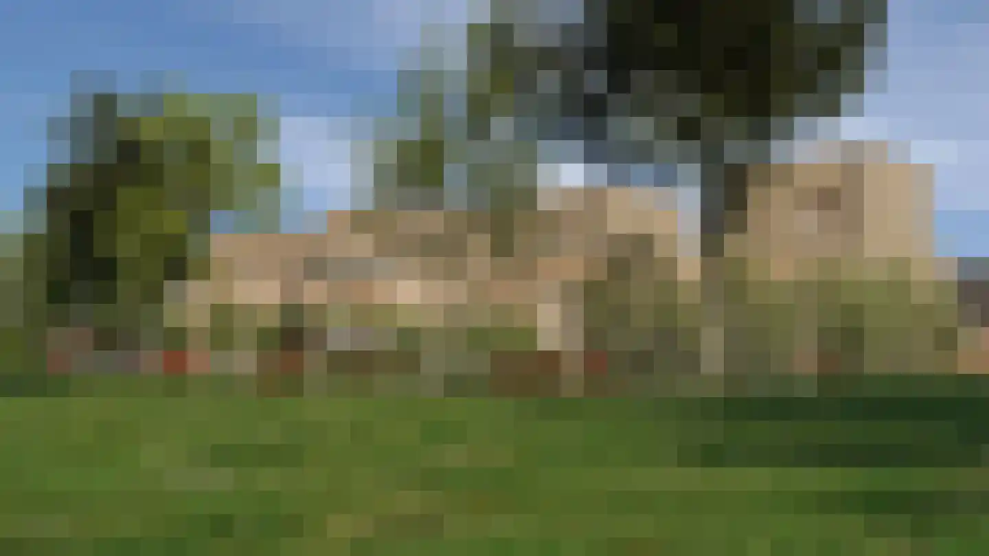Zijp 6 Boekel foto 3