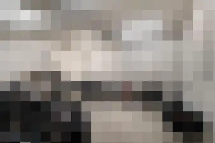 Zijpe 140 Zwolle thumbnail 32