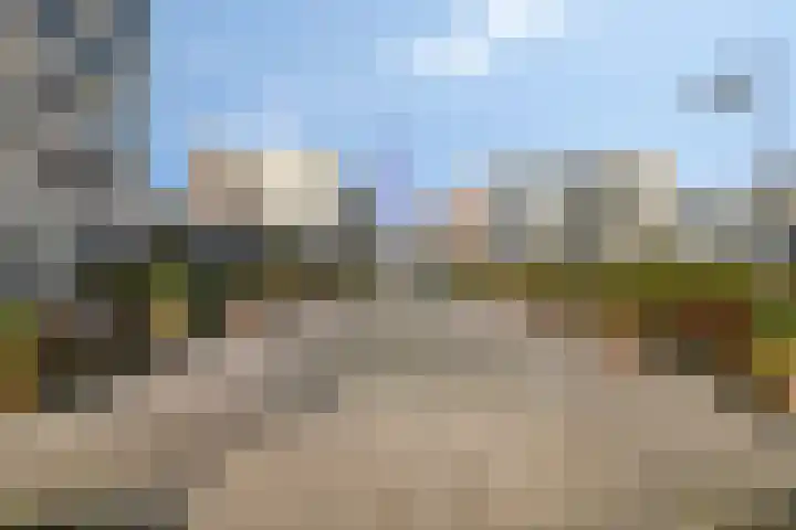 Zijpe 140 Zwolle thumbnail 34