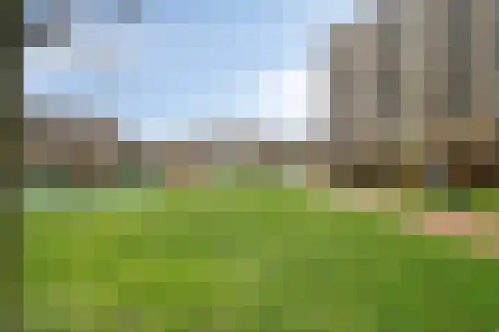 Zijpe 140 Zwolle thumbnail 37