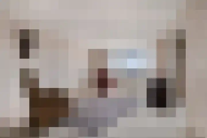 Zijpe 140 Zwolle thumbnail 4