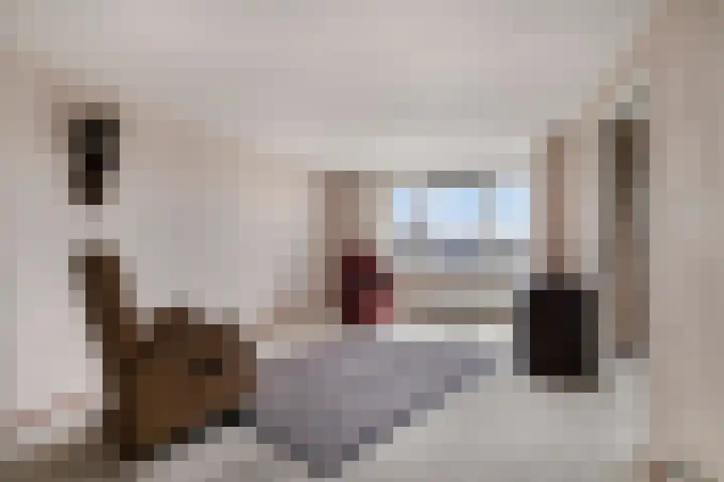 Zijpe 140 Zwolle thumbnail 4